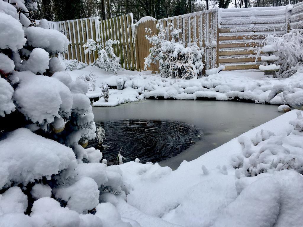 Au Chalet D'Isa Havelange ภายนอก รูปภาพ